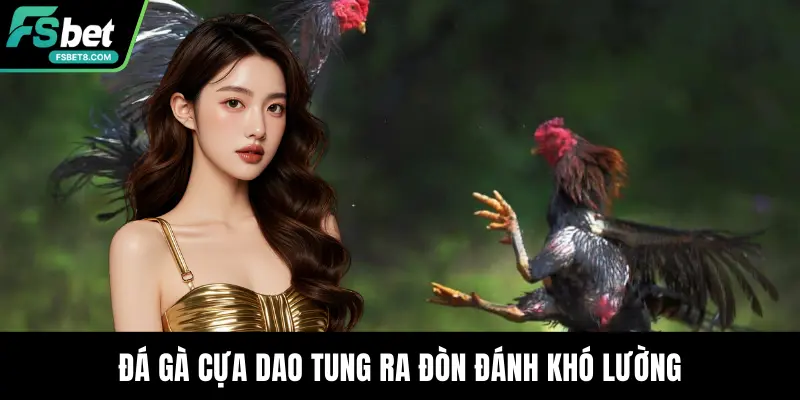 Đá gà cựa dao tung ra đòn đánh khó lường