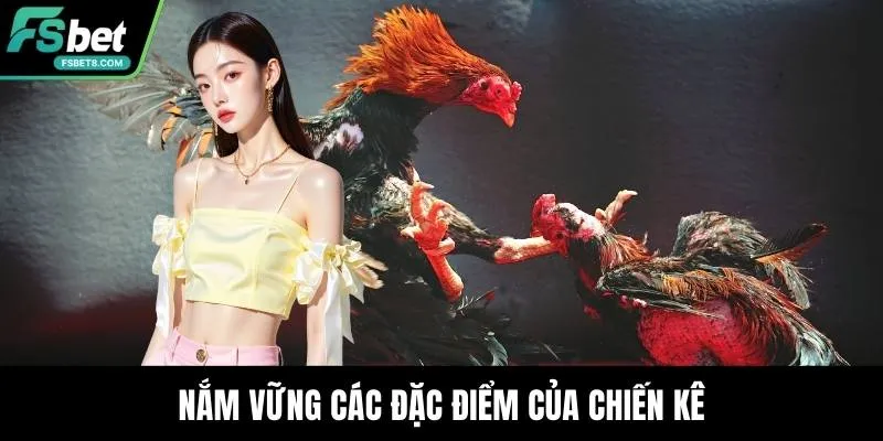 Nắm vững các đặc điểm của chiến kê