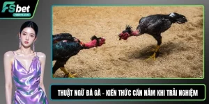 Thuật ngữ đá gà