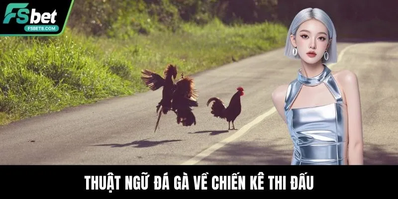 Thuật ngữ đá gà về chiến kê thi đấu