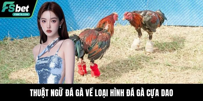 Thuật ngữ đá gà về loại hình đá gà cựa dao