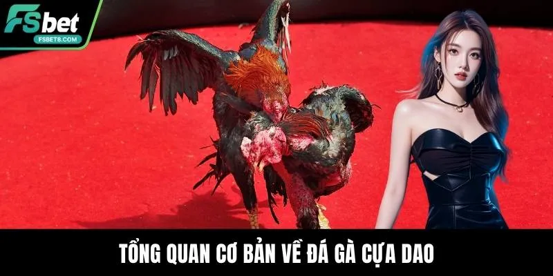 Tổng quan cơ bản về đá gà cựa dao